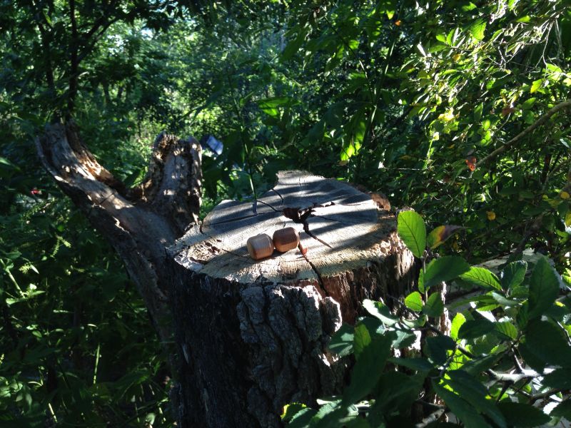 Birdcage Awl Made Easy! « Toolmaking Art